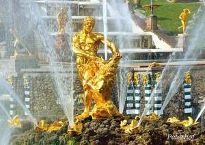 11996932_10156100619495523_897847931_n